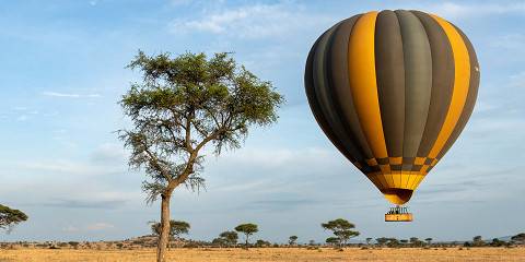 Calving Season Honeymoon Safari &Balloon Adventure