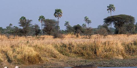 6-Day Tanzania Best Safari Mid Range