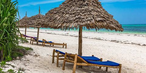 Zanzibar Island Escape & Ocean Adventure