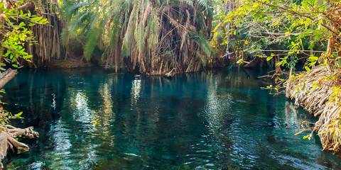 1-Day To Chemka Hot Spring and Visit Sophia Wildlife