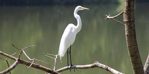 2-Day Best Adventure - Fly in Safari Zanzibar to Nyerere