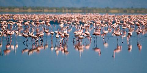 4-Day Luxury Safari Wild Wonders of Northern Tanzania