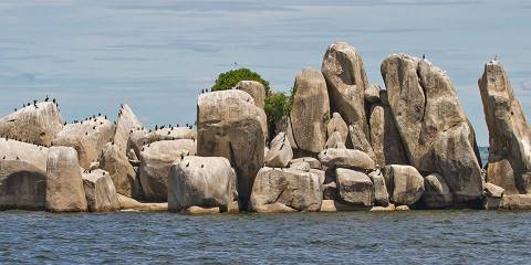 1-Day Serengeti National Park