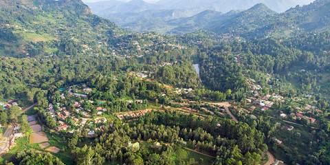 7-Day Tanzania Safari to Magoroto Forest & Lushoto Hike