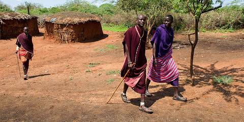 2-Day Adventure & Cultural Immersion to Mikumi NP