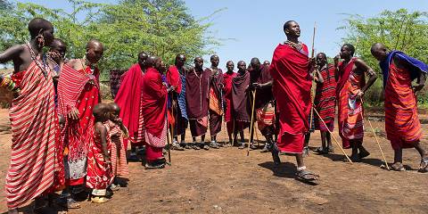 8-Day Kenya and Tanzania Budget Safari