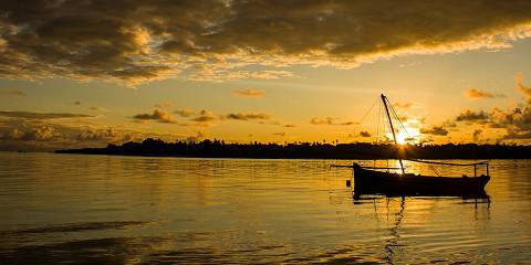 Wild Rhythms - Ultra Luxury Safari & Ocean Retreat