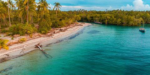 Mafia Island and Whale Sharks Tour