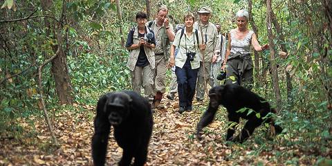 5-Day 4Nights Cultural Safari Tour