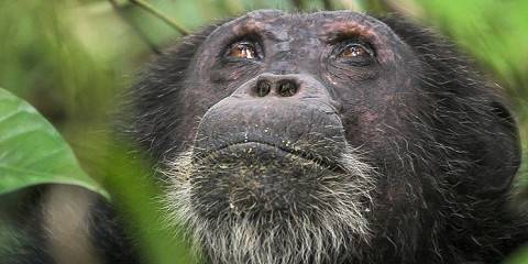 4-Day The Best Wildlife Adventure Mid-Range Tour