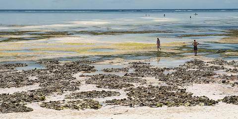 3-Day Tarangire, Manyara & Ngorongoro from Zanzibar