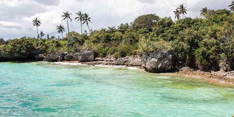 Tanzania Grand Safari & Zanzibar Escape