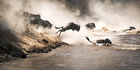 7-Day Great Migration River Crossing Safari
