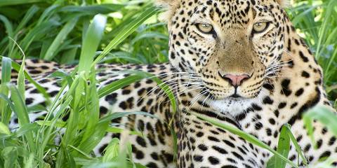9-Day Tanzania Budget Safari with Beach Holiday
