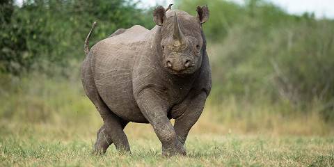 6-Day Mkomazi Park, Materuni & Tarangire Park Safari