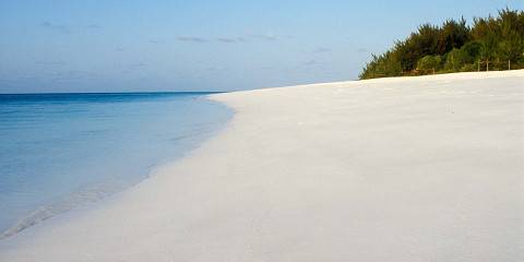 7-Day Great Migration, Big Five, Big Cats & Zanzibar