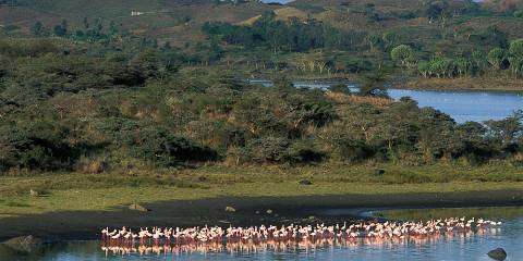 4-Day Wildlife, Culture and Scenic Wonders,