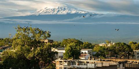 The Complete Kilimanjaro and Safari Experience