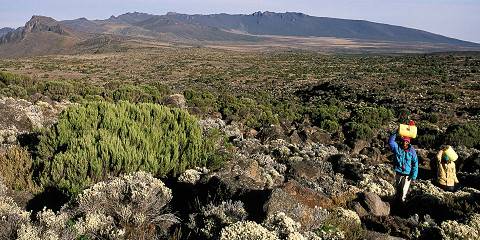 9-Day Prime Kpap-Quality Kilimanjaro Trek Rongai Route