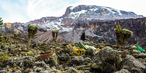 7-Day Rongai - Kilimanjaro Climbing