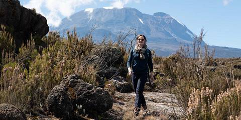 Mount Kilimanjaro Climb - Shira Route