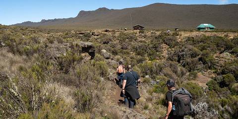 7-Day Shira Route Mount Kilimanjaro Climb