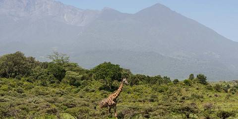 6-Day Mid-Range Northern Circuit Safari & Walking Safari