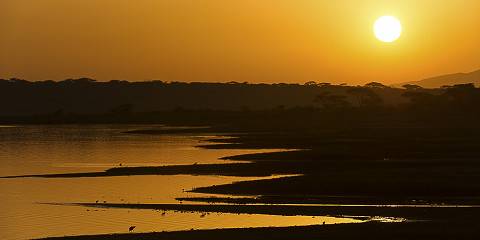 6-Day Calving Season Safari (Ndutu, Crater & Tarangire)