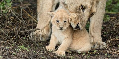3-Day Jewels of Tanzania - Mid-Range