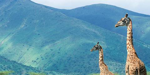 3-Day Wildlife and Cultural Tour