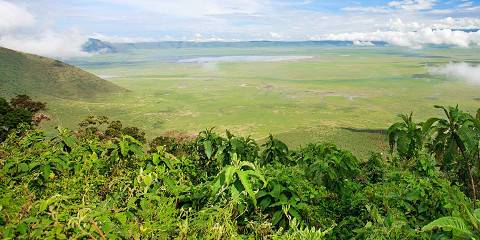Crater, Olduvai Gorge and Serengeti