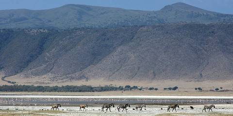 3-Day 2Nights Midrange Tarangire Ngorongoro & Manyara