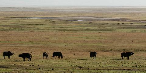 6-Day Tanzania Natural Paradise Adventure