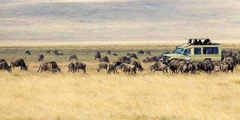 5-Day Tarangire Serengeti Ngorongoro & Manyara Safarii