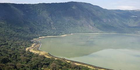 Discover Safari and Arusha City Tour