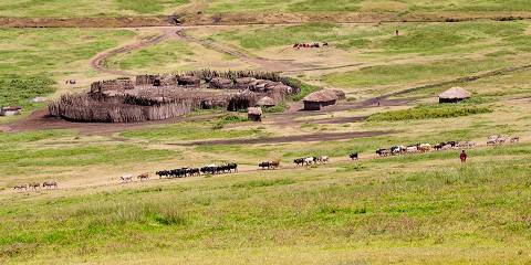 3-Day Tanzania Safari & Materuni Waterfall Adventure