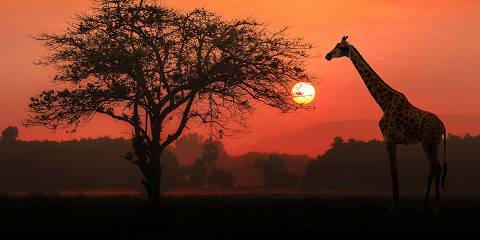 6-Day Tanzania Safari