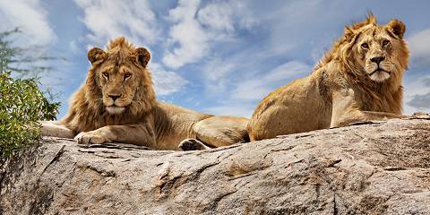 7-Day Memorable Adventure in Tanzania