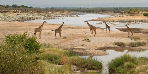 3-Day Serengeti & Zanzibar Mid-Range Tour