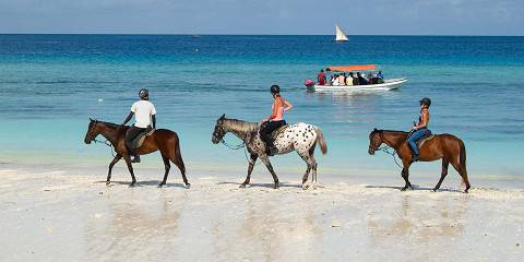 17-Day Luxury from Wild Savannahs to Coastal Opulence