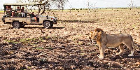 3-Day Luxury Fly-in Safari for Couples