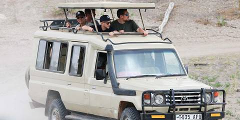 Tarangire/Serengeti/Ngorongoro Budget Tour