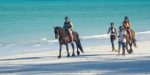 Romantic Excursion to Zanzibar and Wildlife Safari