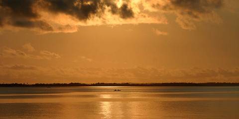 Unforgettable Honeymoon Safari Experience