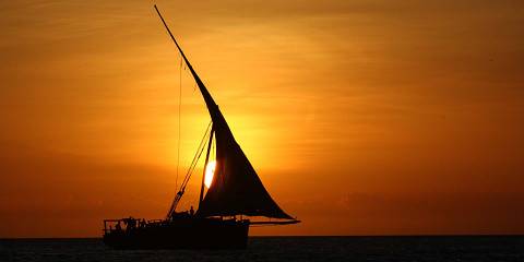 Exclusive Private Wildlife Safari from Zanzibar