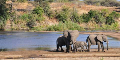 4-Day Classic Trip to Serengeti, Tarangire & Ngorongoro