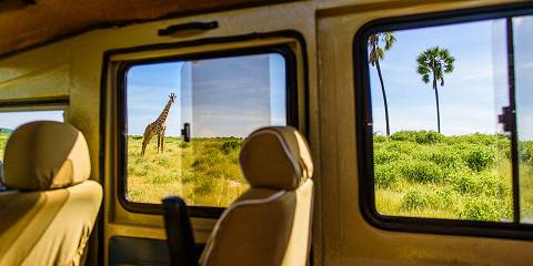 Arusha Park, Ngorongoro, Lake Eyasi & Culture Tour
