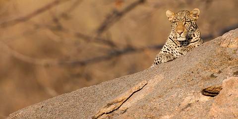 3-Day Zanzibar to Serengeti & Crater Private Safari