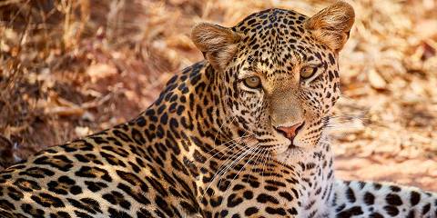 Explore Saadani NP by Jeep from Bagamoyo