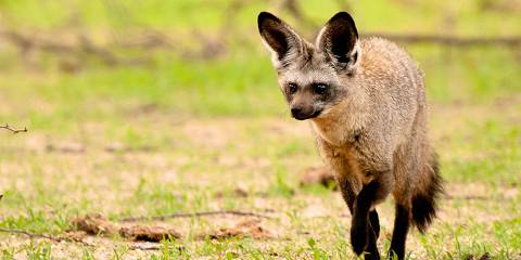 1-Day To Arusha National Park